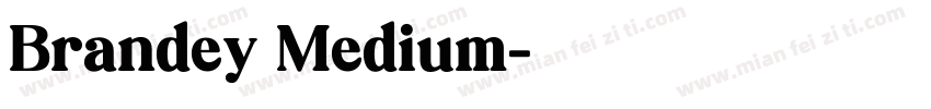 Brandey Medium字体转换